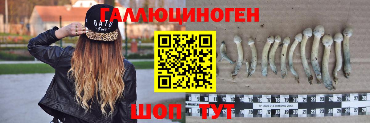 Галлюциногенные грибы Psilocybe  Вход с VPN  Галлюциногенные грибы Psilocybine cubensis  Сатка 